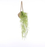 KantoormeubelenPlus Anne Hangende Mand voor Planten - Set van 2 - H20 x Ø25 cm - Zeegras - Lichtbruin