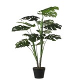 KantoormeubelenPlus Monstera Kunstplant - H100 x Ø70 cm - Groen