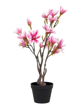 KantoormeubelenPlus Magnoliaboom - Groen, Roze