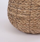 KantoormeubelenPlus Avalon Mand voor Planten - H26 x Ø26 cm - Zeegras - Lichtbruin