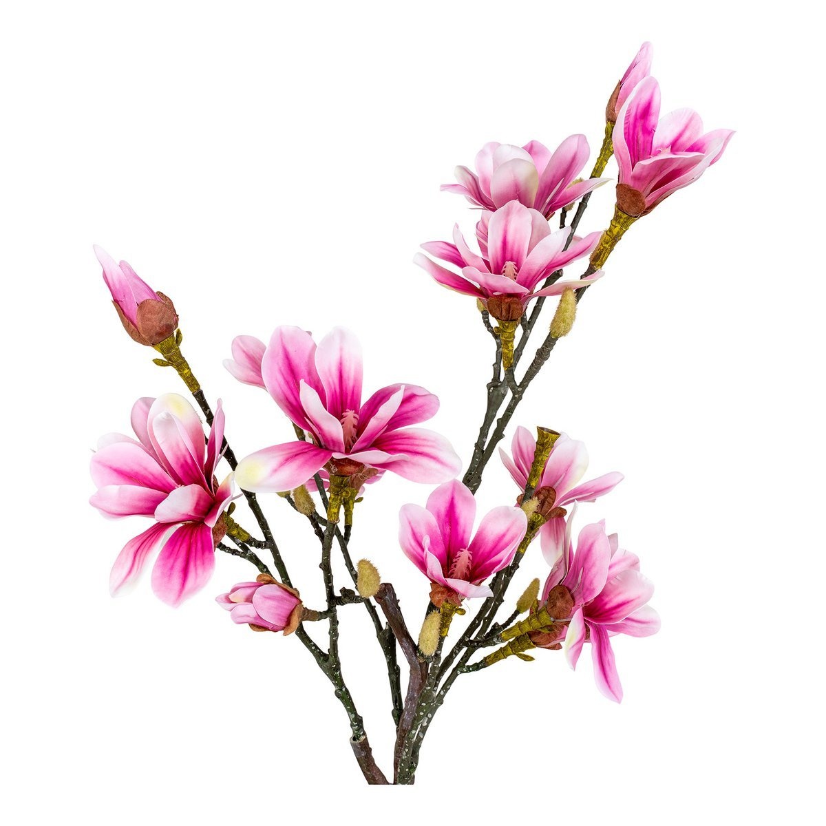 KantoormeubelenPlus Magnoliaboom - Groen, Roze