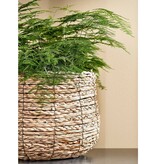 KantoormeubelenPlus Avalon Mand voor Planten - H26 x Ø26 cm - Zeegras - Lichtbruin