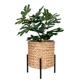 KantoormeubelenPlus Antas plantenbak