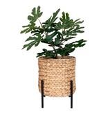 KantoormeubelenPlus Antas plantenbak