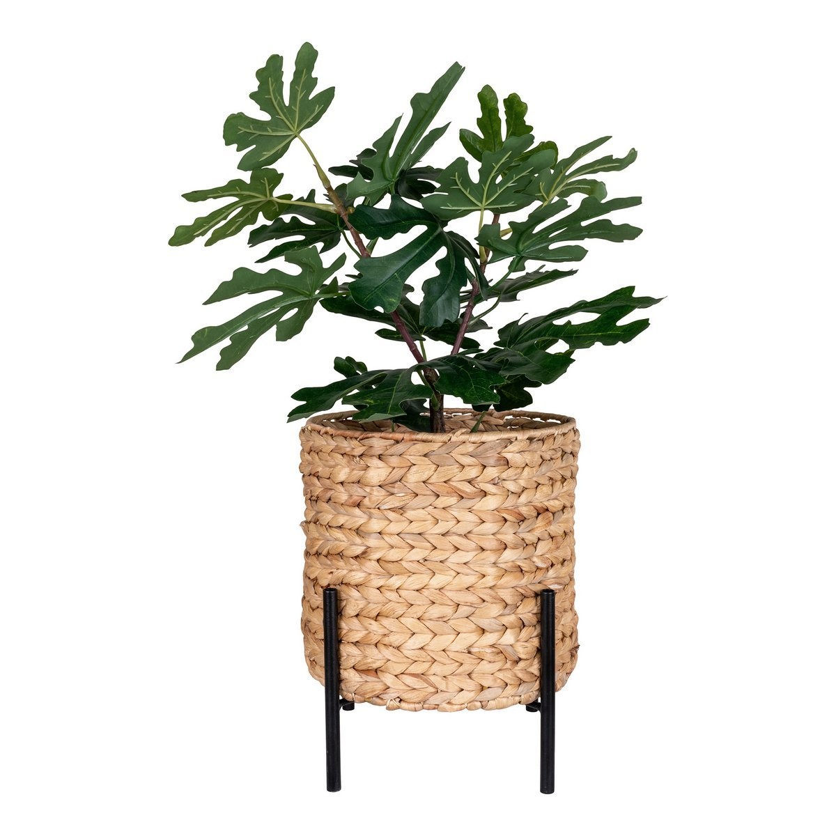 KantoormeubelenPlus Antas plantenbak