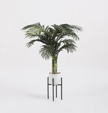 KantoormeubelenPlus Ascot Plantenstandaard - L20,5 x B20,5 x H35 cm - Metaal - Zwart