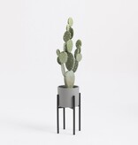 KantoormeubelenPlus Ascot Plantenstandaard - L20,5 x B20,5 x H35 cm - Metaal - Zwart