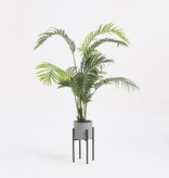 KantoormeubelenPlus Ascot Plantenstandaard - L20,5 x B20,5 x H35 cm - Metaal - Zwart