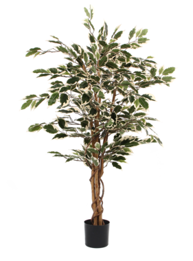 KantoormeubelenPlus Ficus Kunstplant - H110 x Ø70 cm - Groen Bont