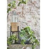 KantoormeubelenPlus Ascot Plantenstandaard - L20,5 x B20,5 x H35 cm - Metaal - Zwart
