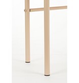 KantoormeubelenPlus Selena Bijzettafel - L68 x B44,5 x H45,5 cm - Metaal - Roze