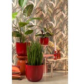 KantoormeubelenPlus Selena Bijzettafel - L68 x B44,5 x H45,5 cm - Metaal - Roze