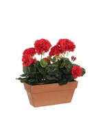 KantoormeubelenPlus Geranium Kunstplant in Balkonbak - L29 x B13 x H40 cm - Rood