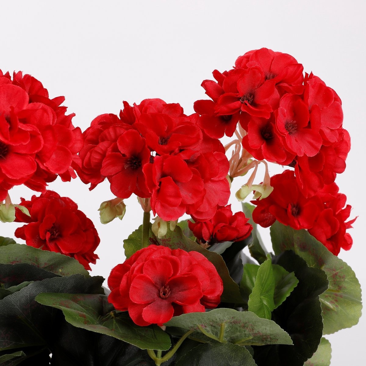 KantoormeubelenPlus Geranium Kunstplant in Balkonbak - L29 x B13 x H40 cm - Rood
