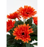 KantoormeubelenPlus Gerbera Kunstplant in Bloempot Stan - H35 x Ø30 cm - Oranje
