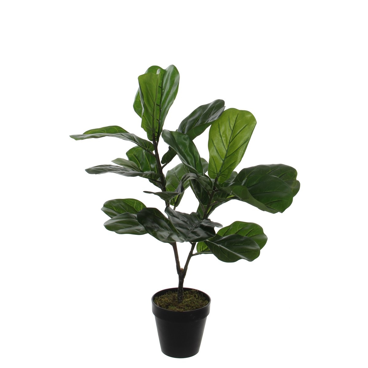 KantoormeubelenPlus Ficus Lyrata Kunstplant - H75 x Ø60 cm - Groen