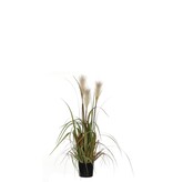 KantoormeubelenPlus Pluimgras Foxtail Kunstplant - H81 x Ø45 cm - Wit