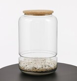 KantoormeubelenPlus Elements Terrarium - H28 x Ø19 cm - Glas