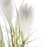 KantoormeubelenPlus Pluimgras Foxtail Kunstplant - H81 x Ø45 cm - Wit