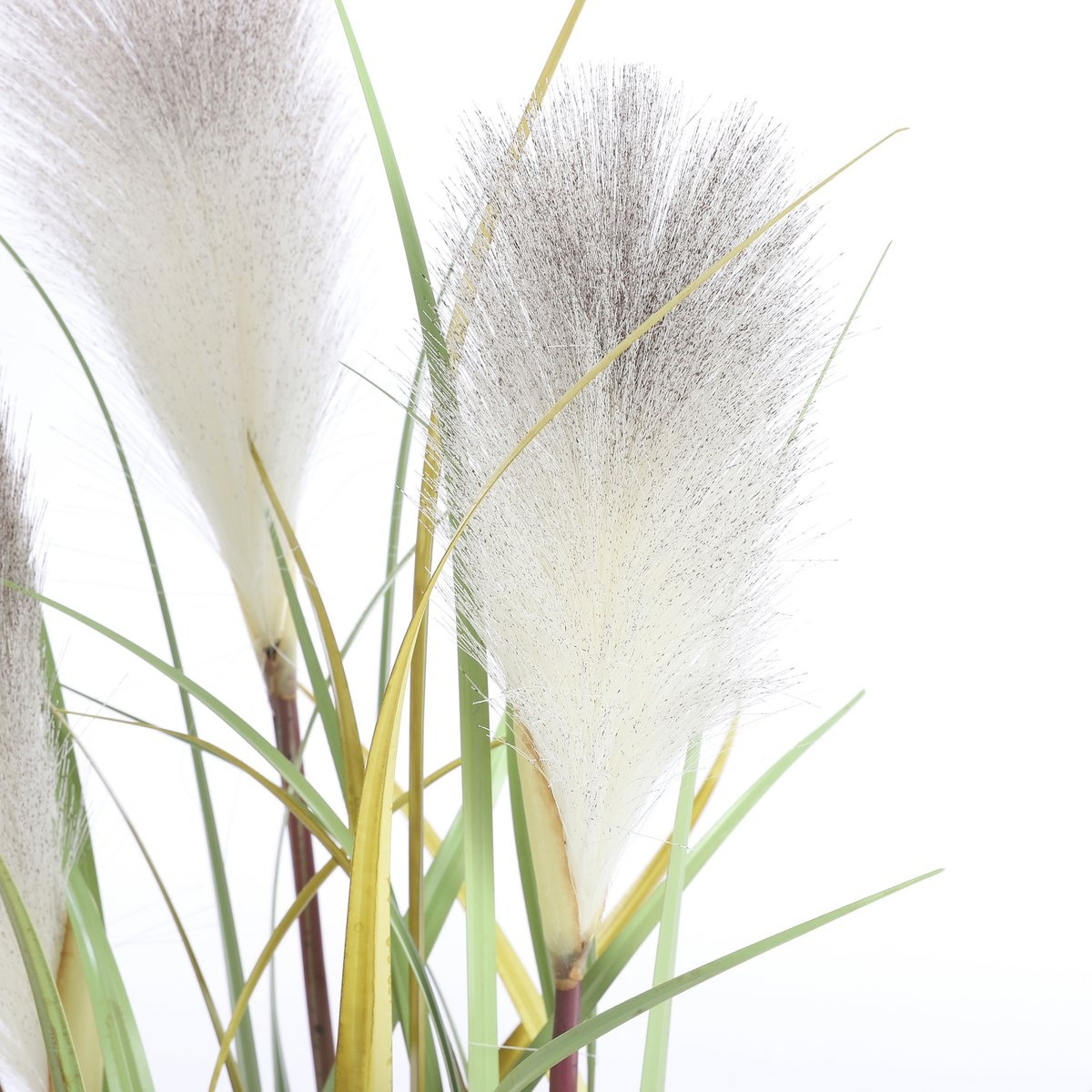 KantoormeubelenPlus Pluimgras Foxtail Kunstplant - H81 x Ø45 cm - Wit
