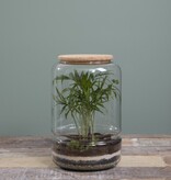 KantoormeubelenPlus Elements Terrarium - H28 x Ø19 cm - Glas