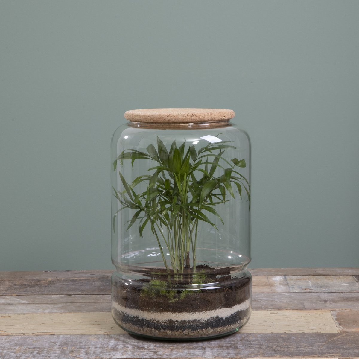 KantoormeubelenPlus Elements Terrarium - H28 x Ø19 cm - Glas