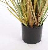 KantoormeubelenPlus Pluimgras Foxtail Kunstplant - H81 x Ø45 cm - Wit