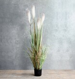 KantoormeubelenPlus Pluimgras Foxtail Kunstplant - H81 x Ø45 cm - Wit