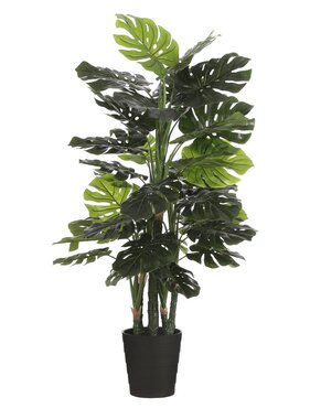 KantoormeubelenPlus Monstera Kunstplant - H140 x Ø80 cm - Groen