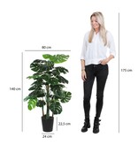 KantoormeubelenPlus Monstera Kunstplant - H140 x Ø80 cm - Groen