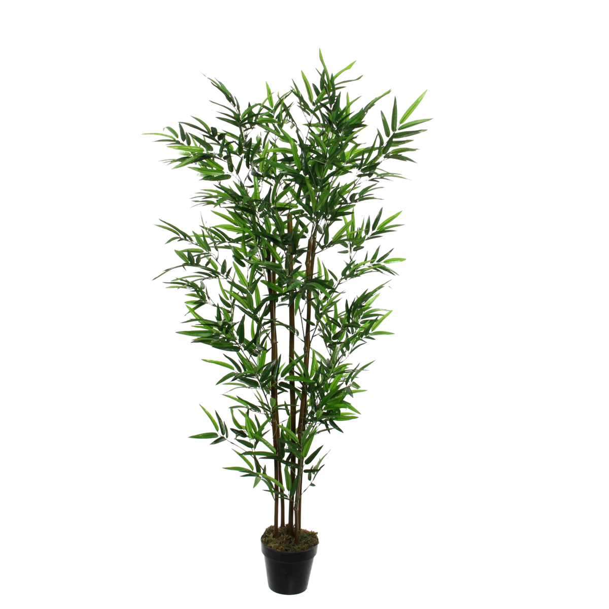 KantoormeubelenPlus Bamboe Kunstplant - H155 x Ø90 cm - Groen