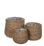 KantoormeubelenPlus Avalon Mand voor Planten - Set van 3 - H31 x Ø30 cm - Zeegras - Lichtbruin