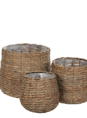 KantoormeubelenPlus Avalon Mand voor Planten - Set van 3 - H31 x Ø30 cm - Zeegras - Lichtbruin