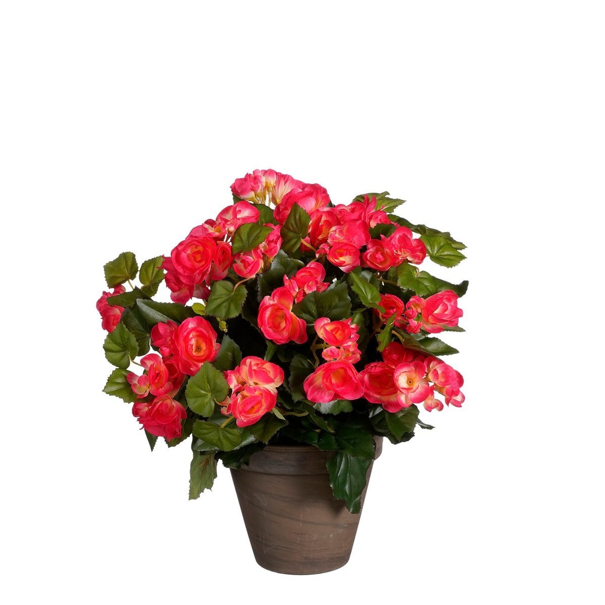 KantoormeubelenPlus Begonia Kunstplant in Bloempot Stan - H37 x Ø36 cm - Donkerroze