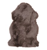 KantoormeubelenPlus Lamsvel