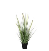 KantoormeubelenPlus Dogtail Gras Kunstplant - H53 x Ø30 cm - Groen