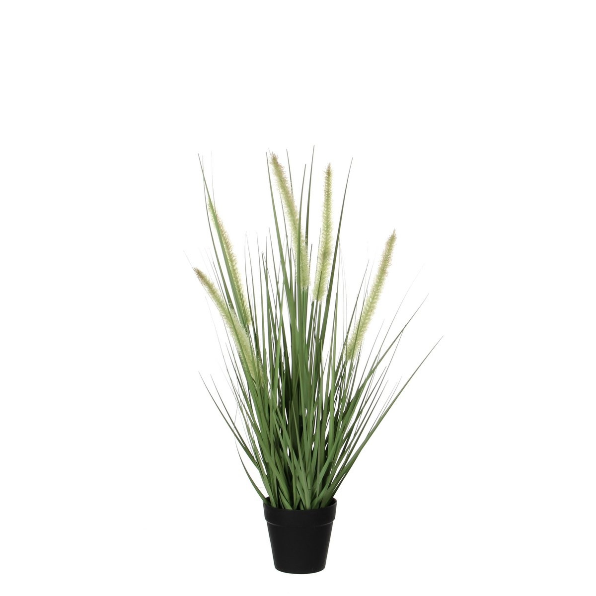 KantoormeubelenPlus Dogtail Gras Kunstplant - H53 x Ø30 cm - Groen