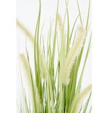 KantoormeubelenPlus Dogtail Gras Kunstplant - H53 x Ø30 cm - Groen