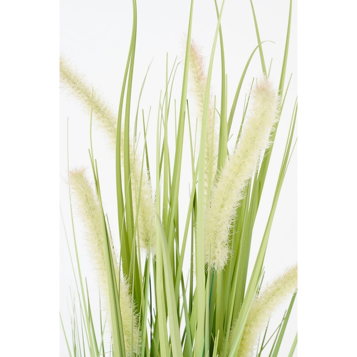 KantoormeubelenPlus Dogtail Gras Kunstplant - H53 x Ø30 cm - Groen