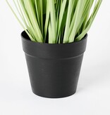 KantoormeubelenPlus Dogtail Gras Kunstplant - H53 x Ø30 cm - Groen