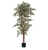 KantoormeubelenPlus Ficus Kunstplant - H180 x Ø90 cm - Groen Bont
