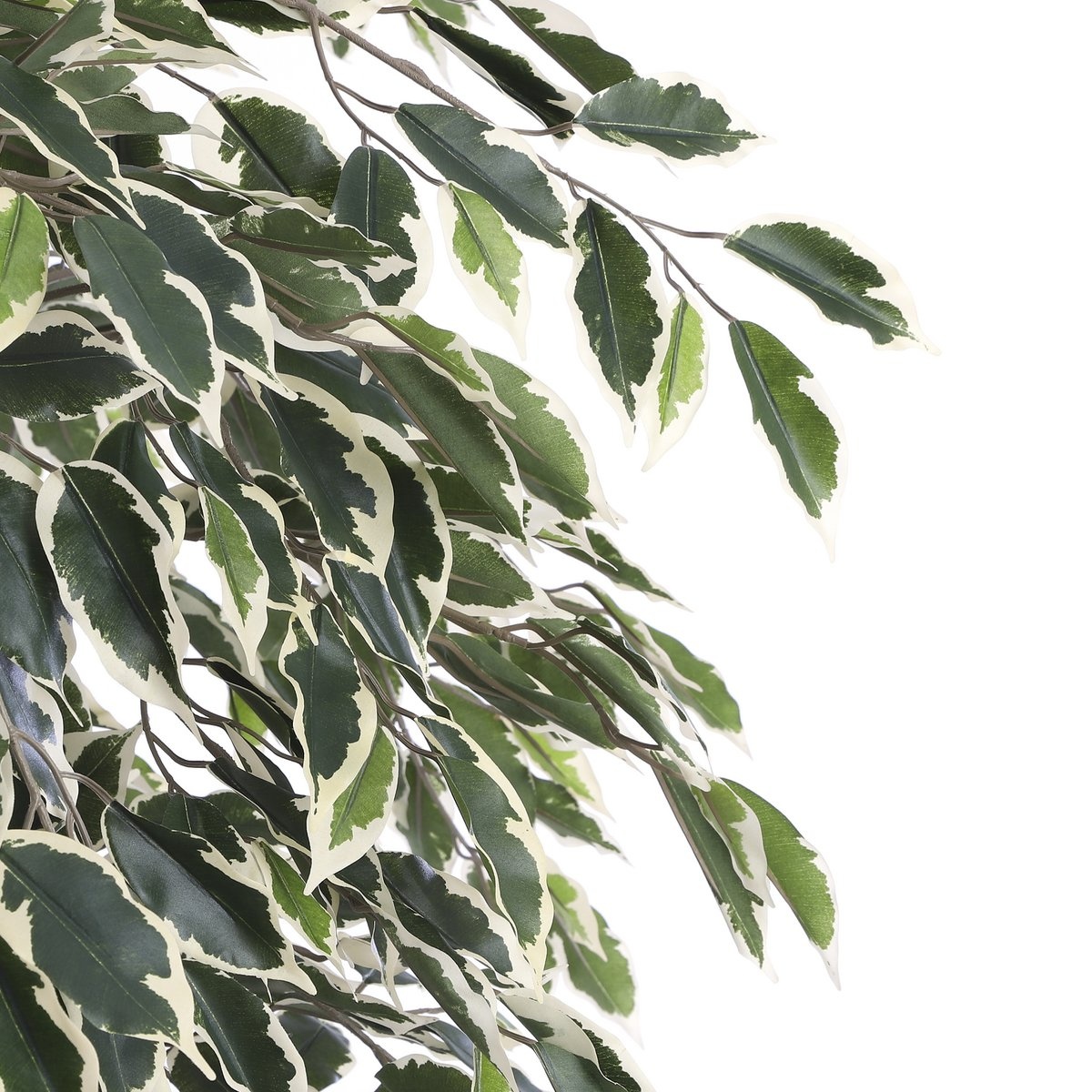 KantoormeubelenPlus Ficus Kunstplant - H180 x Ø90 cm - Groen Bont