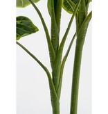 KantoormeubelenPlus Alocasia Kunstplant in Bloempot - H100 x Ø50 cm - Groen