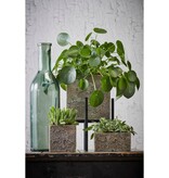 KantoormeubelenPlus Rioja Fles Vaas - H50 x Ø15 cm - Gerecycled Glas - Groen
