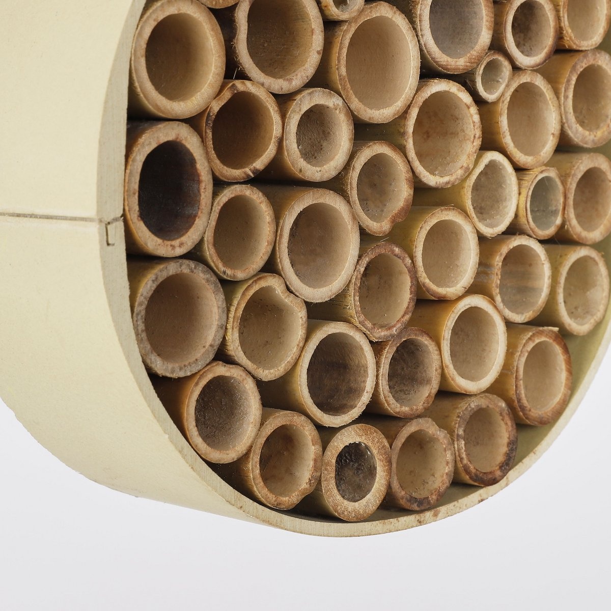 KantoormeubelenPlus Orion Insectenhotel - H6 x Ø21 cm - Beige