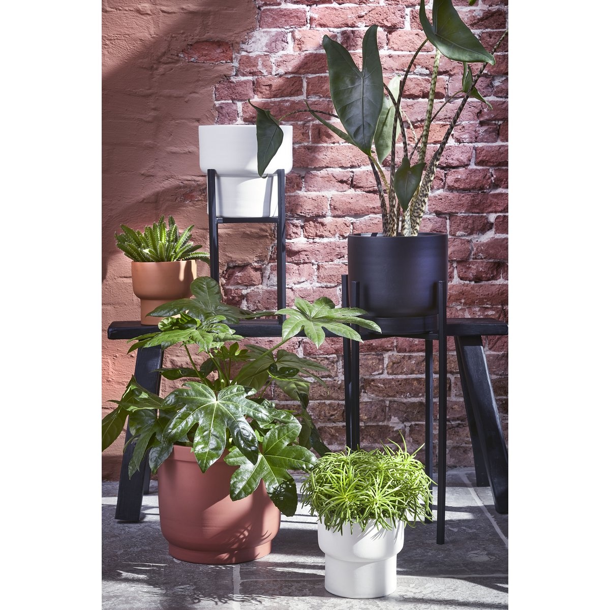 KantoormeubelenPlus Ascot Plantenstandaard XL - L41,5 x B41,5 x H50 cm - Metaal - Zwart