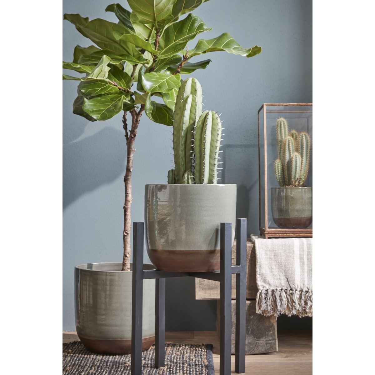 KantoormeubelenPlus Ascot Plantenstandaard XL - L41,5 x B41,5 x H50 cm - Metaal - Zwart