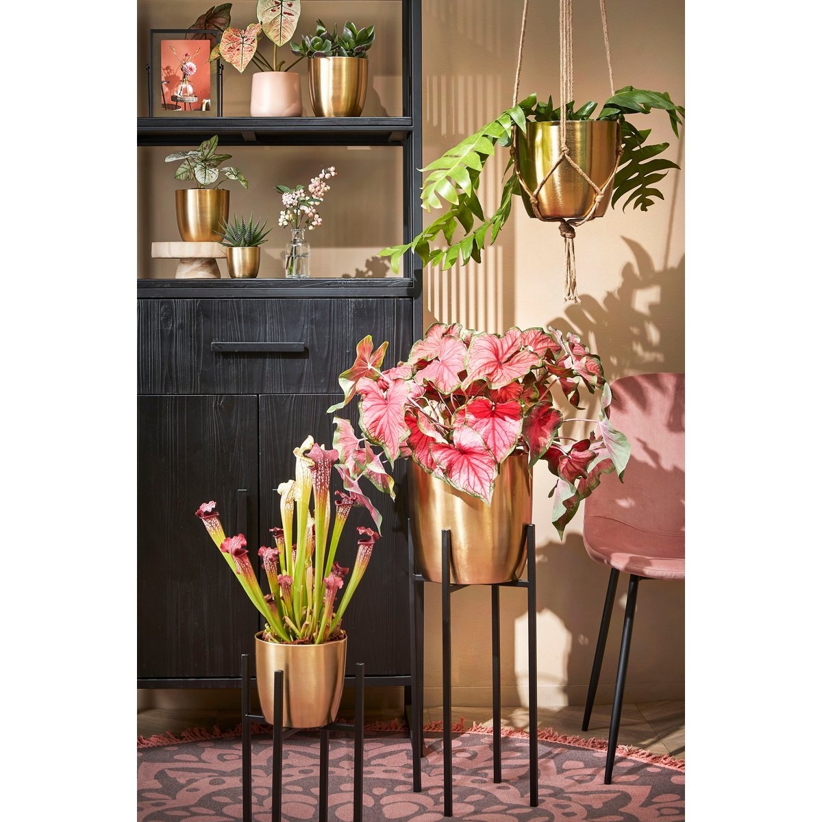 KantoormeubelenPlus Ascot Plantenstandaard XL - L41,5 x B41,5 x H50 cm - Metaal - Zwart