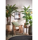 KantoormeubelenPlus Ascot Plantenstandaard XL - L41,5 x B41,5 x H50 cm - Metaal - Zwart