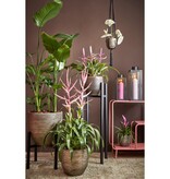 KantoormeubelenPlus Ascot Plantenstandaard XL - L37,5 x B37,5 x H95 cm - Metaal - Zwart